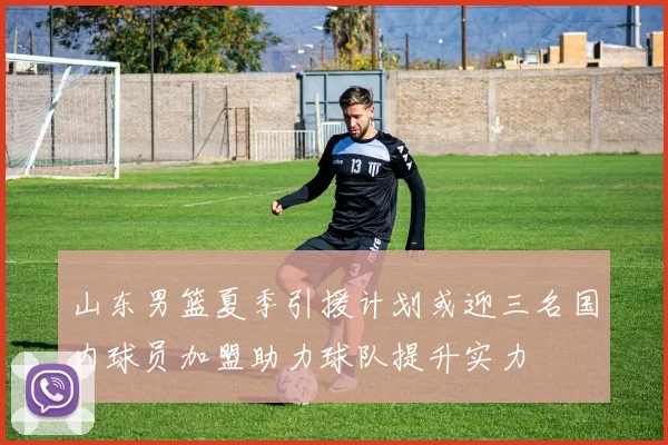 山东男篮夏季引援计划或迎三名国内球员加盟助力球队提升实力